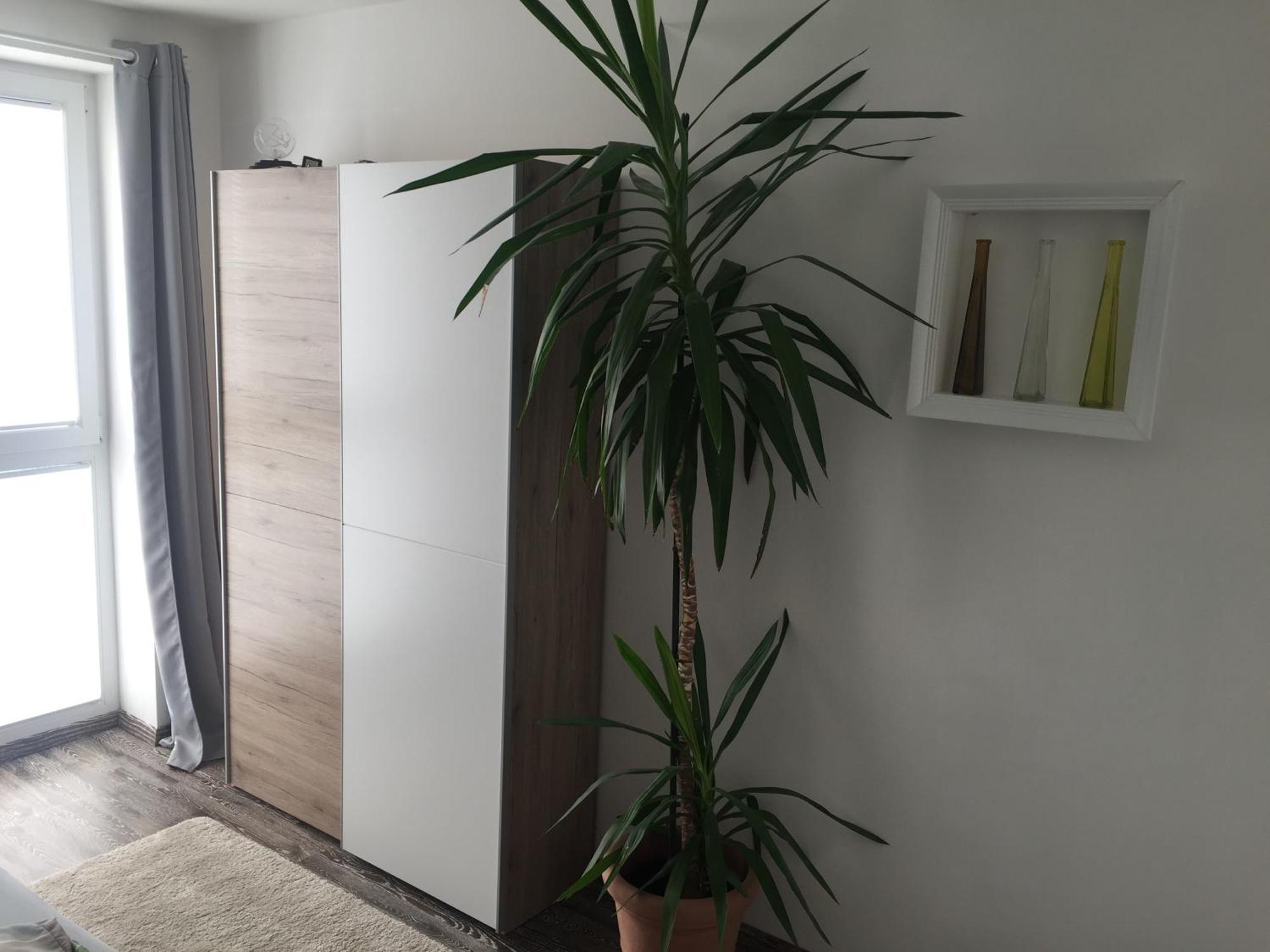 Ferienwohnungen Nahrstedt Waldeck  Esterno foto